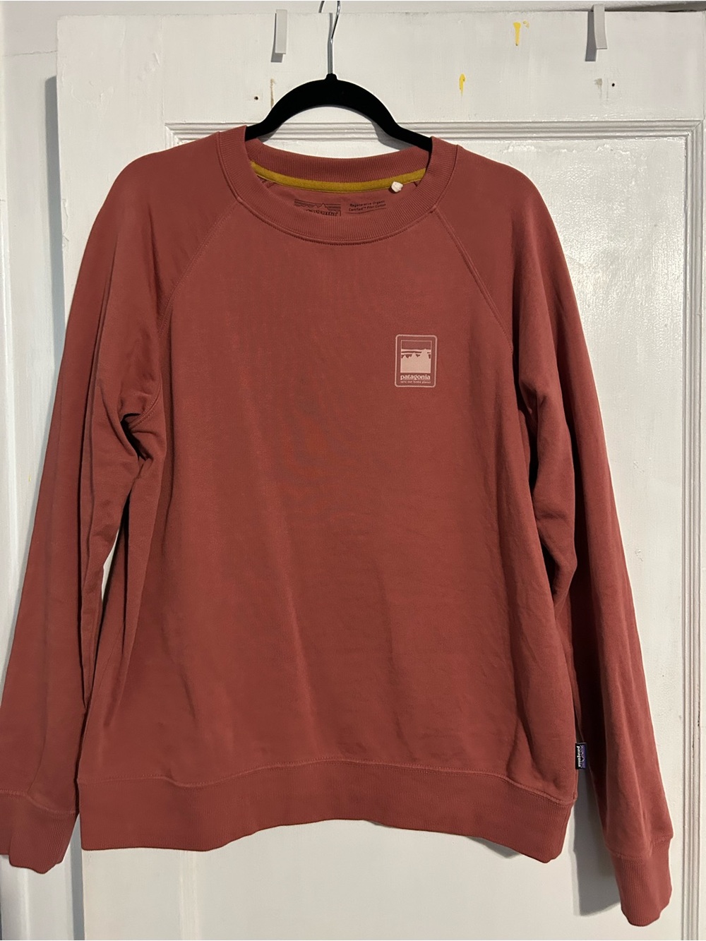Patagonia Organic Cotton Crewneck Sweatshirt in Brick